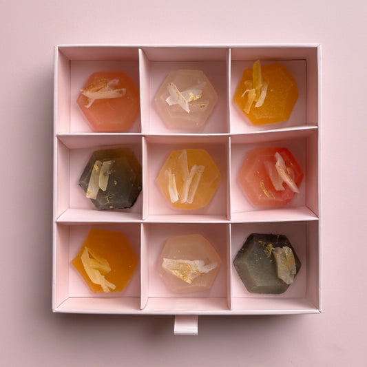 Tropensammlung